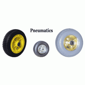 Pneumatic